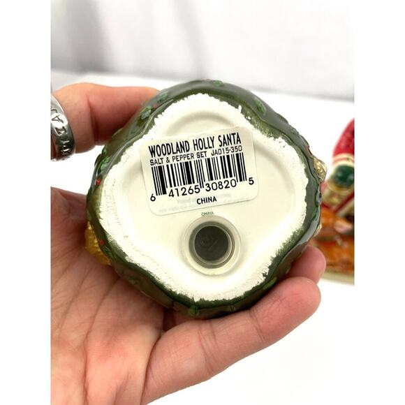 Studio Nova Woodland Holly Santa Claus Sack Salt & Pepper Set - Picture 10 of 15